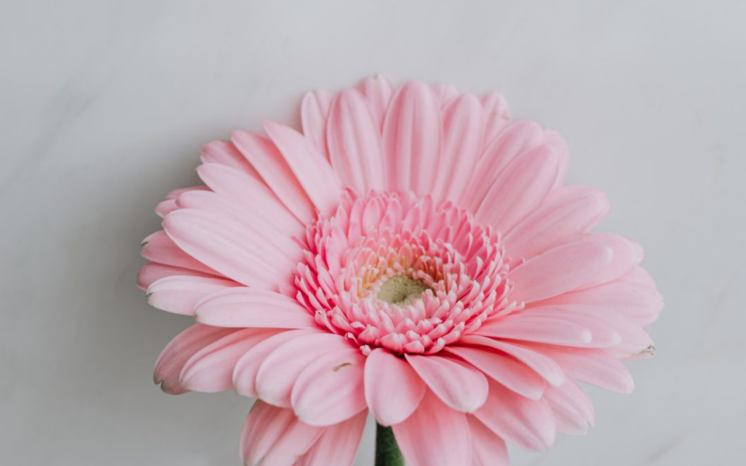 How to Handle Criticism Gracefully – Three Key Principles